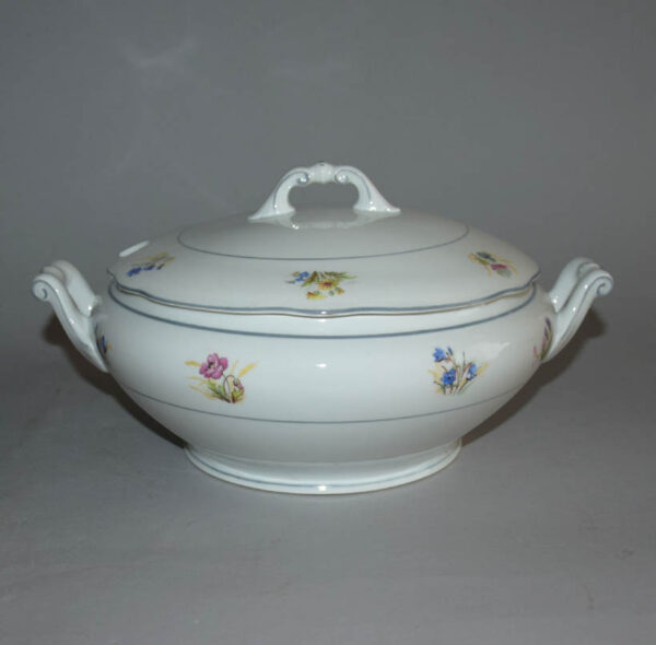 starozitna-jidelni-souprava-lucni-kviti-porcelan-epiag-terina-a-talire-1.jpg