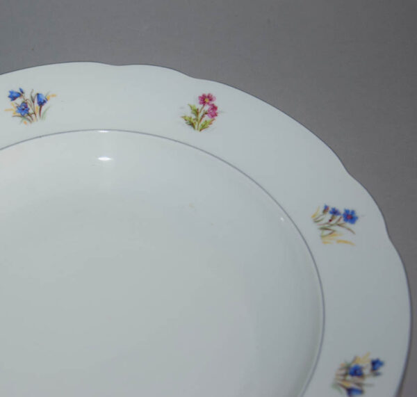 starozitna-jidelni-souprava-lucni-kviti-porcelan-epiag-terina-a-talire-1.jpg